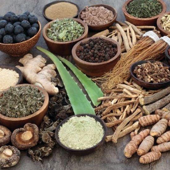 Ayurvedic Sciences