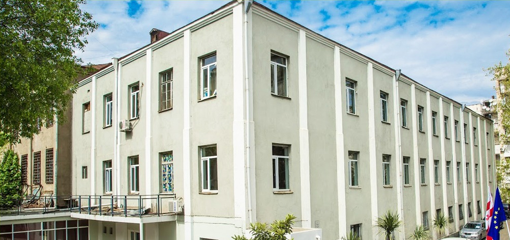 caucasus international univeristy - georgia